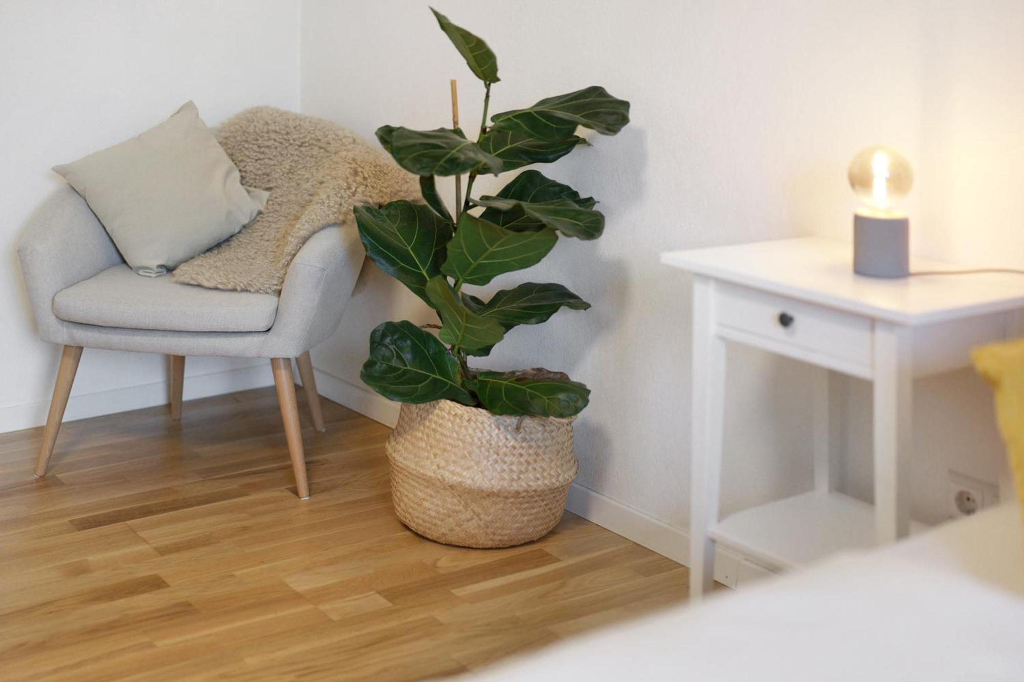 Ferienwohnung Obsthof Fiess Oberkirch Kültér fotó